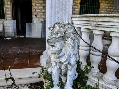 Un leone in marmo che abbellisce l'entrata della villa